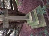 image of grave number 676824